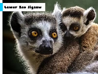Lemur zoo jigsaw