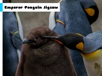 Emperor penguin jigsaw