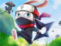 Ninja rabbit
