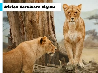 Africa carnivore jigsaw