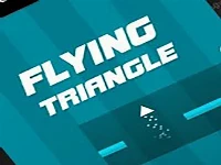 Flying triangle 2021