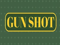 Gun shoot hd