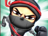 Ninja run race