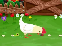 Stupid chicken