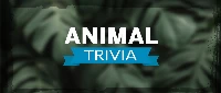 Animal trivia