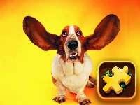 Funny dogs puzzle