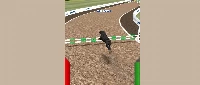 Dog racing simulator