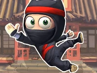 Super ninja adventure