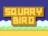 Squary bird