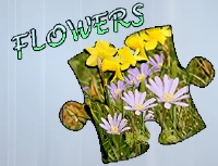 Jigsaw puzzle: flowers