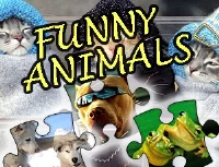 Jigsaw puzzle funny animals
