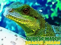 Chinese water dragon jigsaw