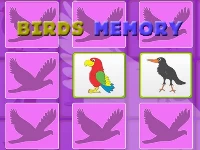 Kids memory game - birds