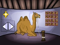 Camel escape