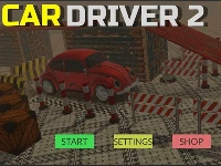 Car driver 2