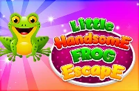 Little handsome frog escape