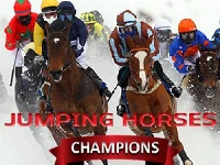 Jumping horses champions