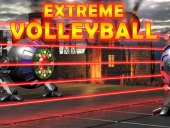 Extreme volleyball