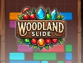 Woodland slide