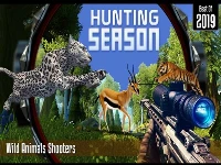 Hunting season