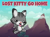 Lost kitty go home