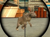 Rabbit shooter