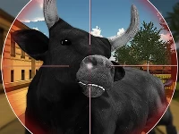 Bull shooting