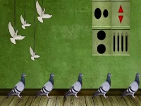 Pigeon escape 2