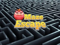 Maze escape
