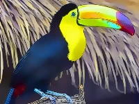 Toucan bird jigsaw